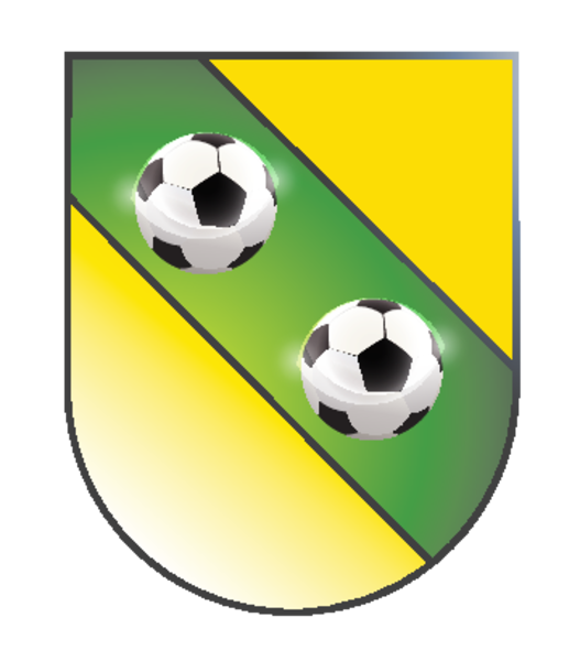 Wappen FC Schifflange 95